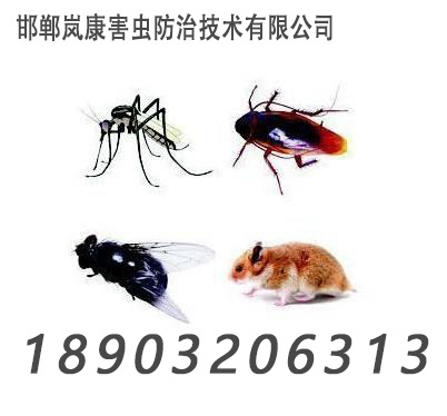 邯鄲除蟲除蟻滅鼠、滅蟑螂、滅白蟻、滅四害、殺蟲