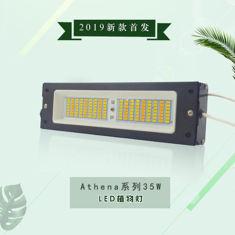 承越35W外貿貨源led植物生長燈大棚室內蔬菜瓜果種植日照燈