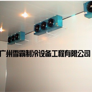 廣州雪霸制冷設(shè)備供應(yīng)商_雪霸制冷，醫(yī)藥大型冷庫(kù)