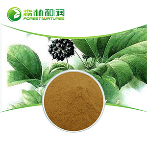 廠家供應(yīng) 刺五加苷 規(guī)格齊全 品質(zhì)保障